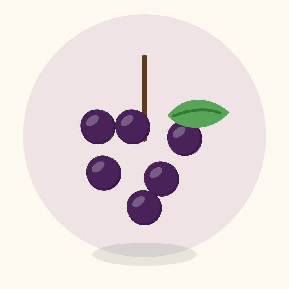 Acai illustration