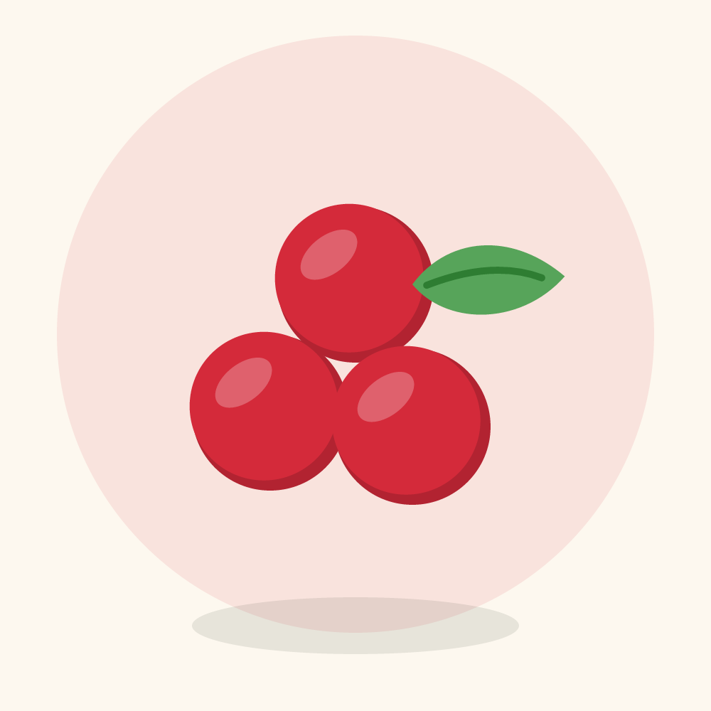 Acerola illustration