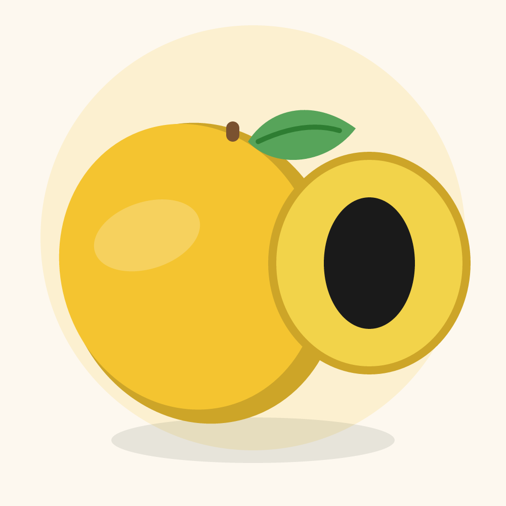 Ackee illustration