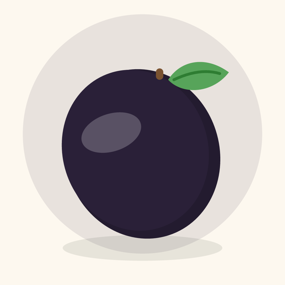 African black plum illustration