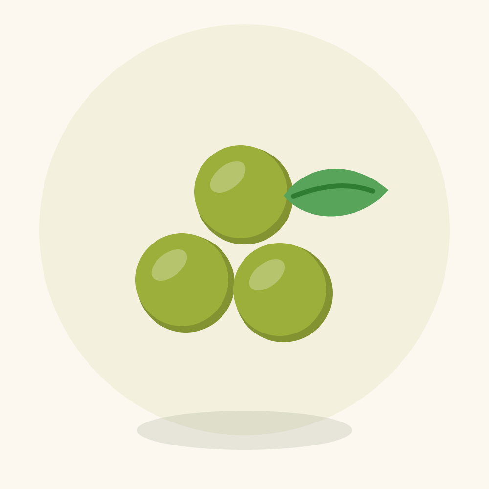Amla illustration