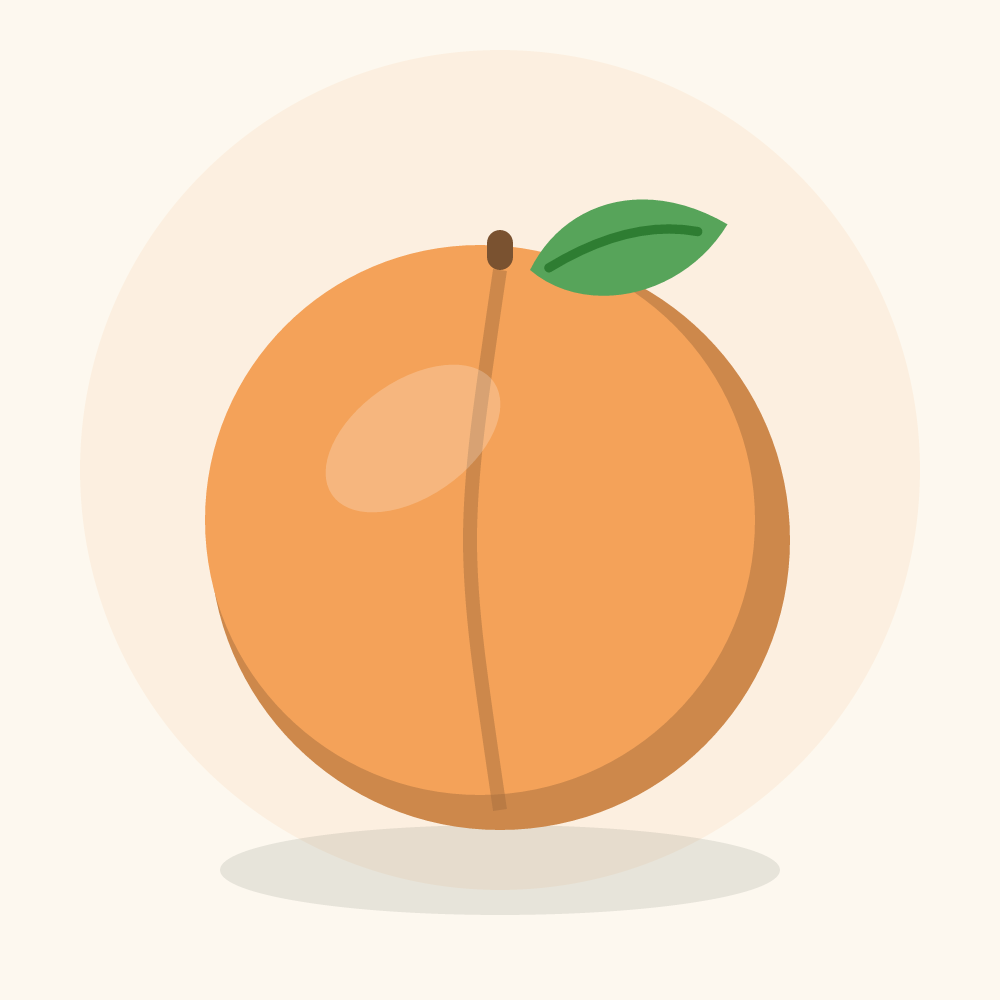 Apricot illustration