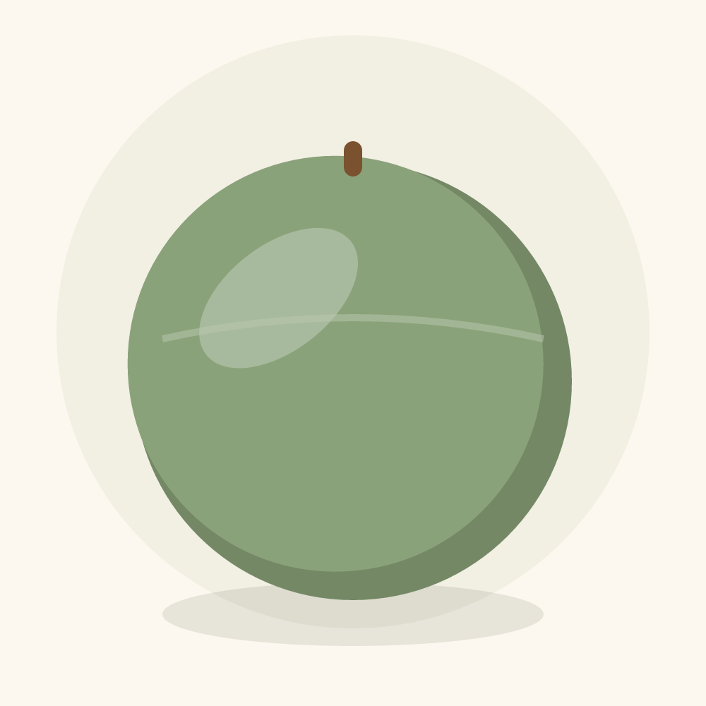 Ash gourd illustration