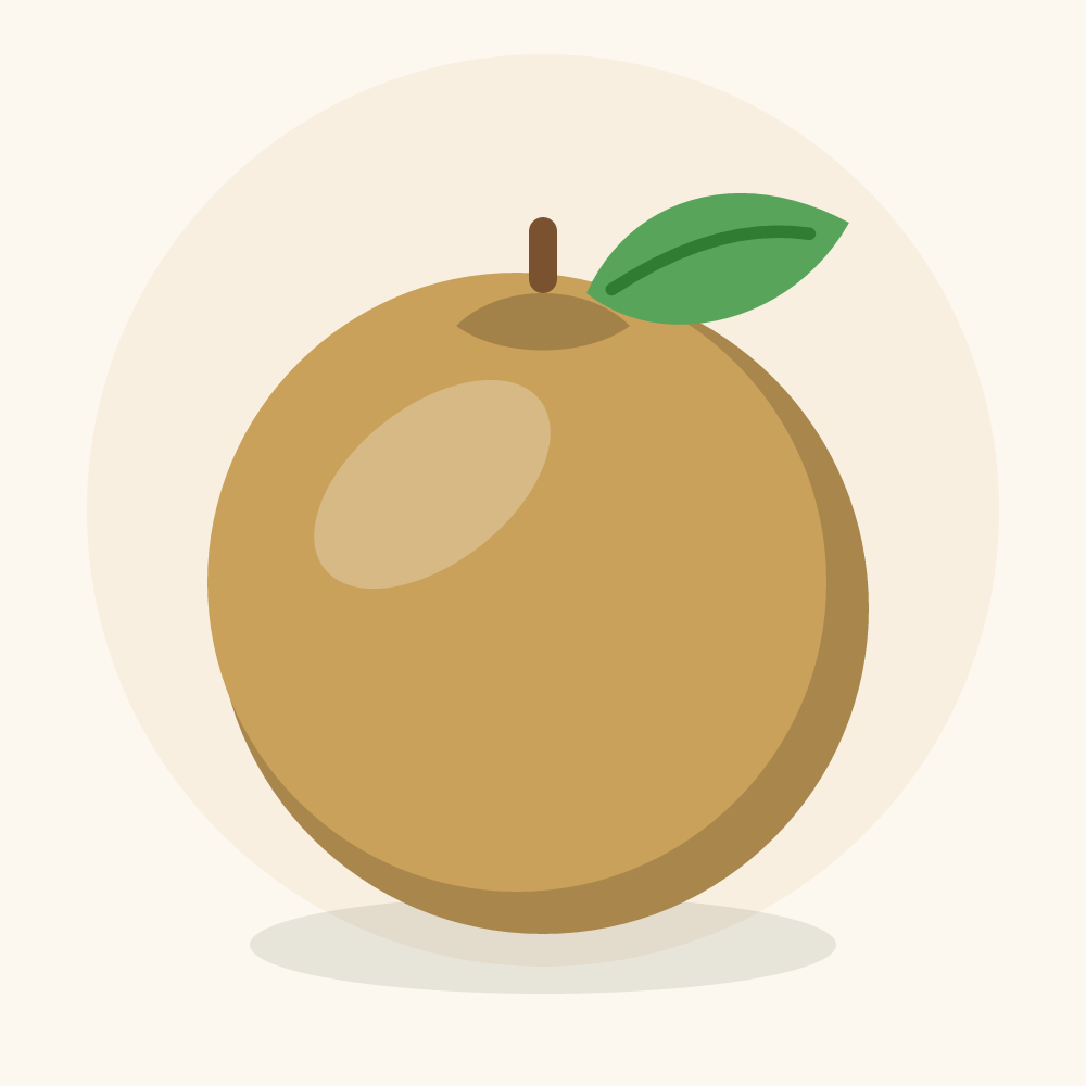 Asian pear illustration