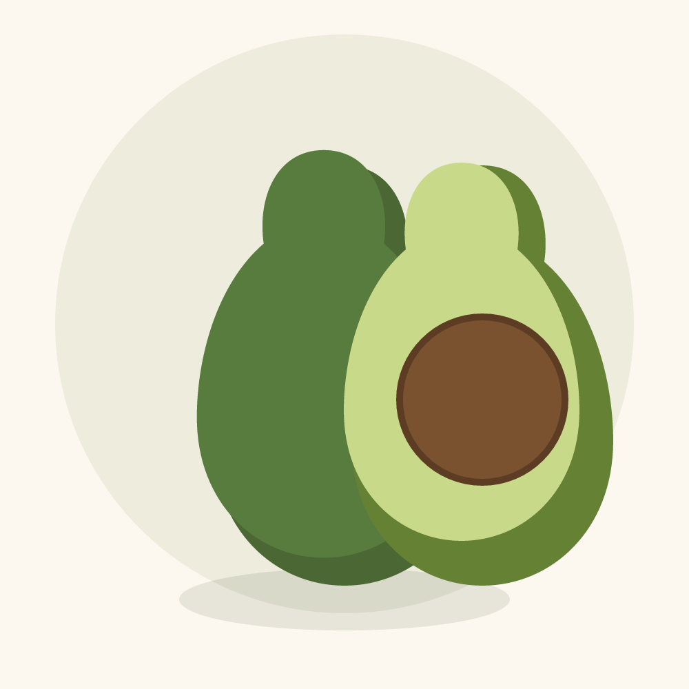 Avocado illustration