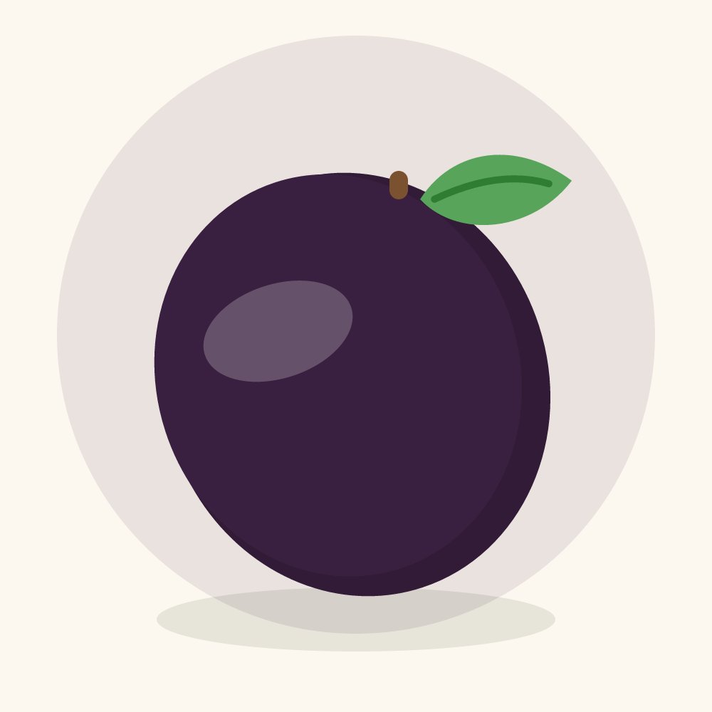 Bacaba illustration