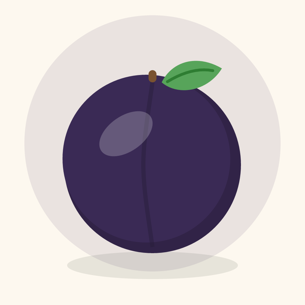 Beach plum illustration
