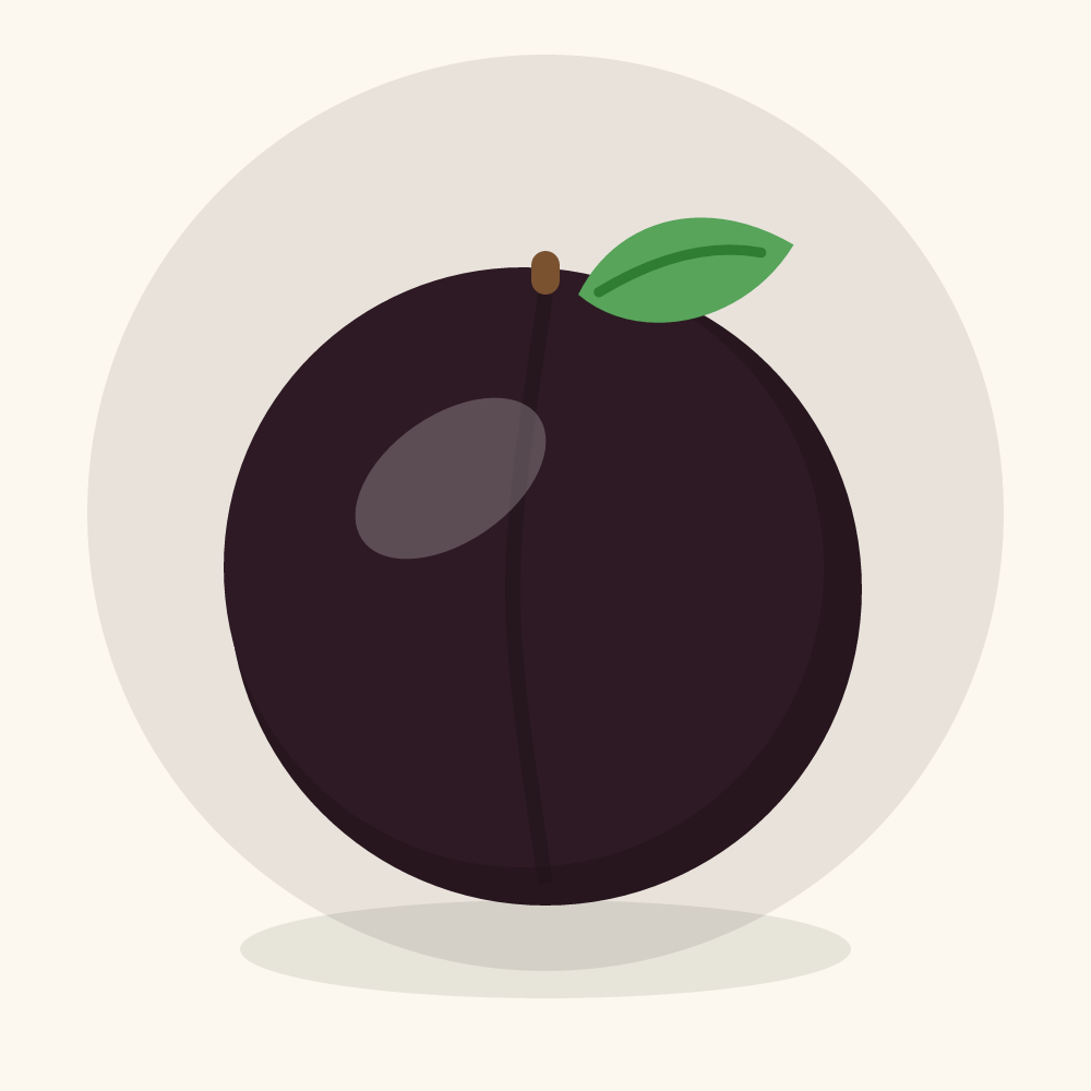 Bird cherry illustration