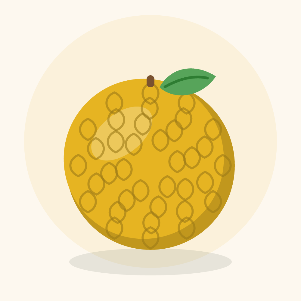 Biriba illustration