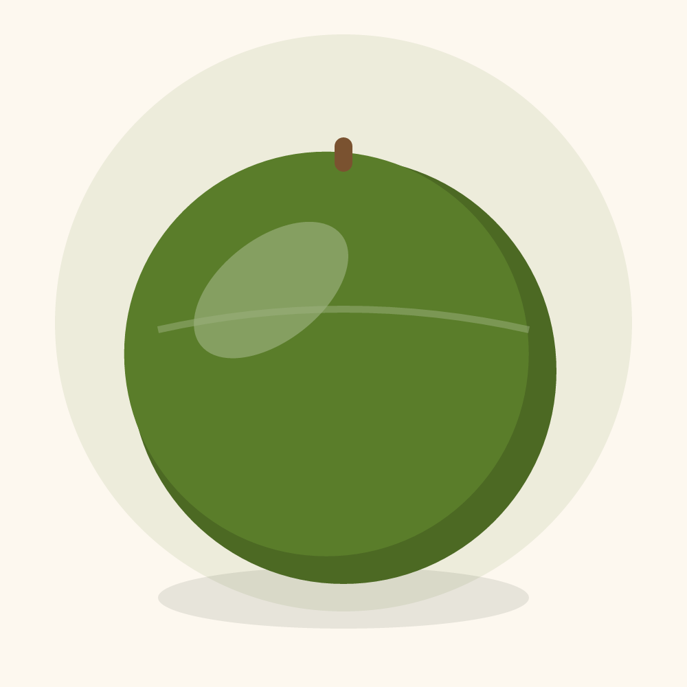 Bitter melon illustration