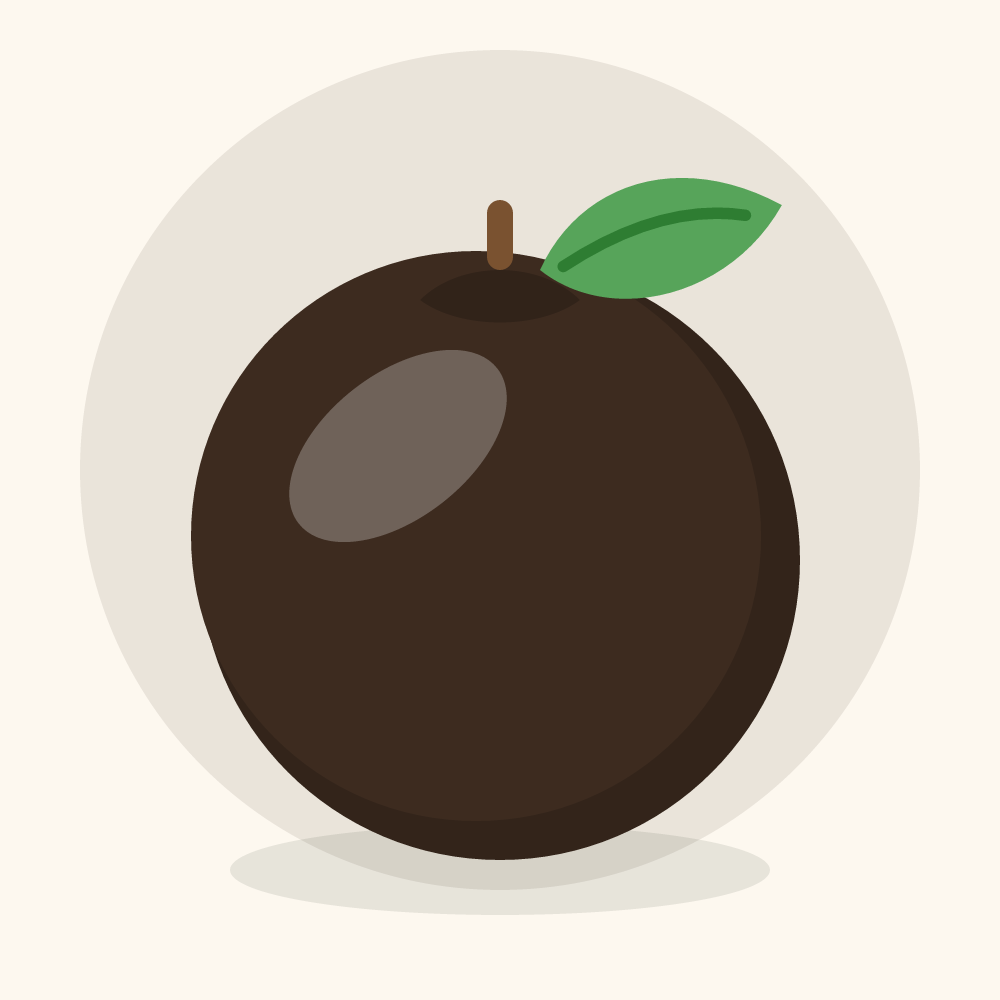 Black sapote illustration