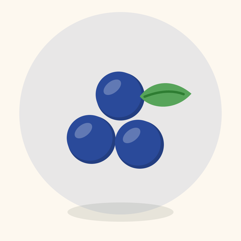 Blue quandong illustration