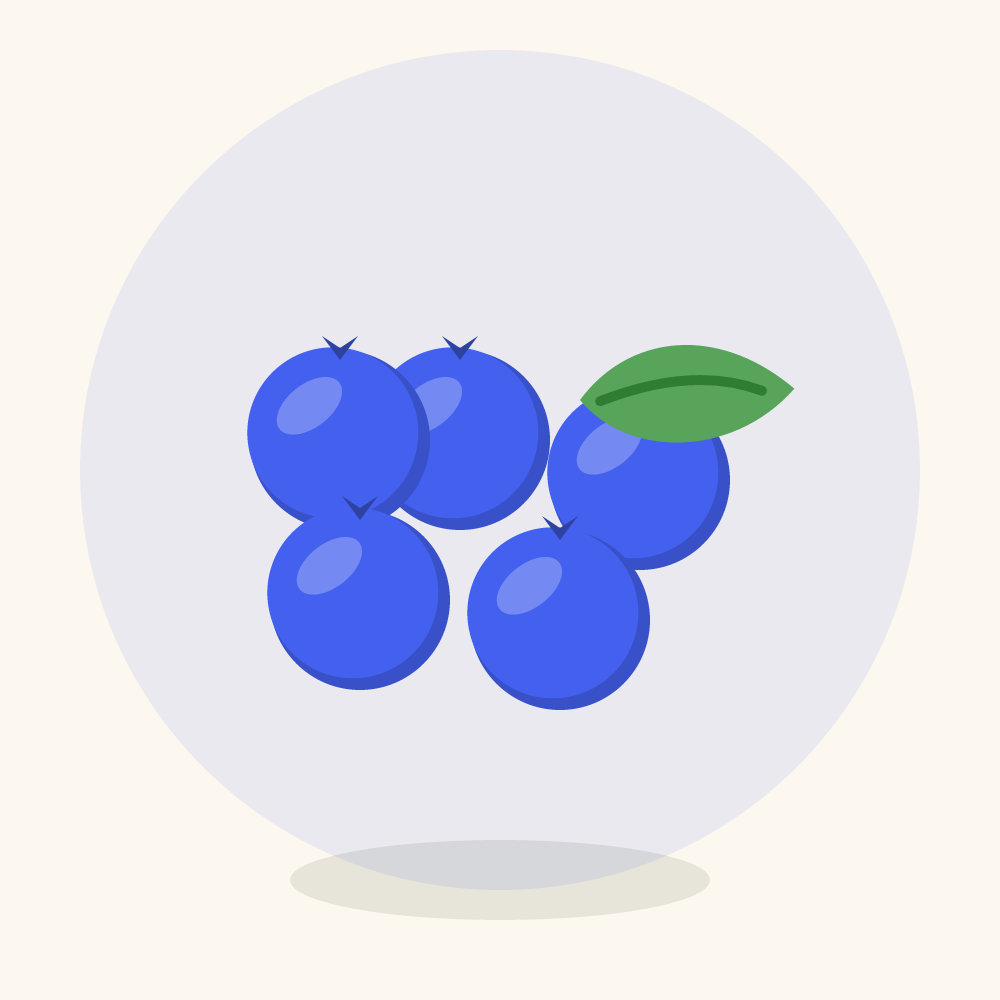 Blueberry illustration