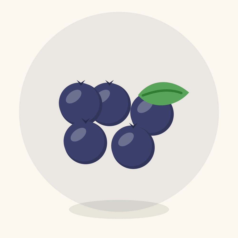 Bog bilberry illustration
