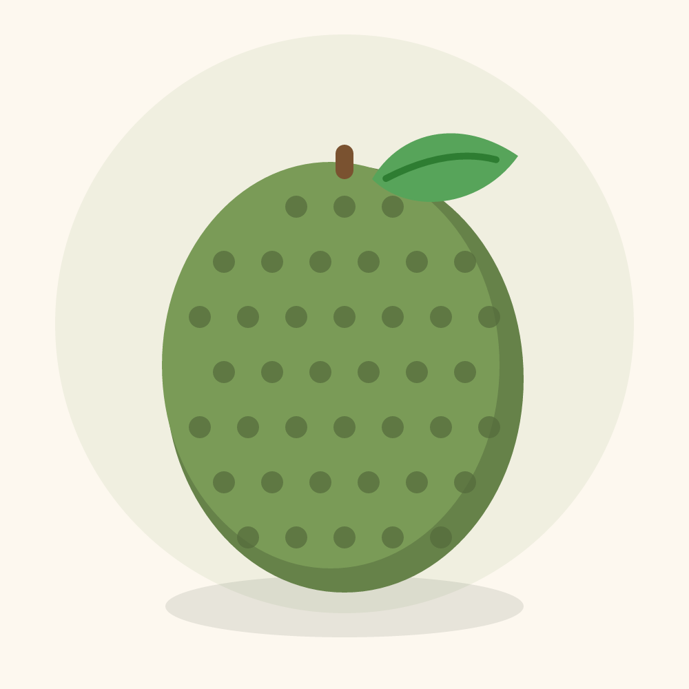 Breadfruit illustration