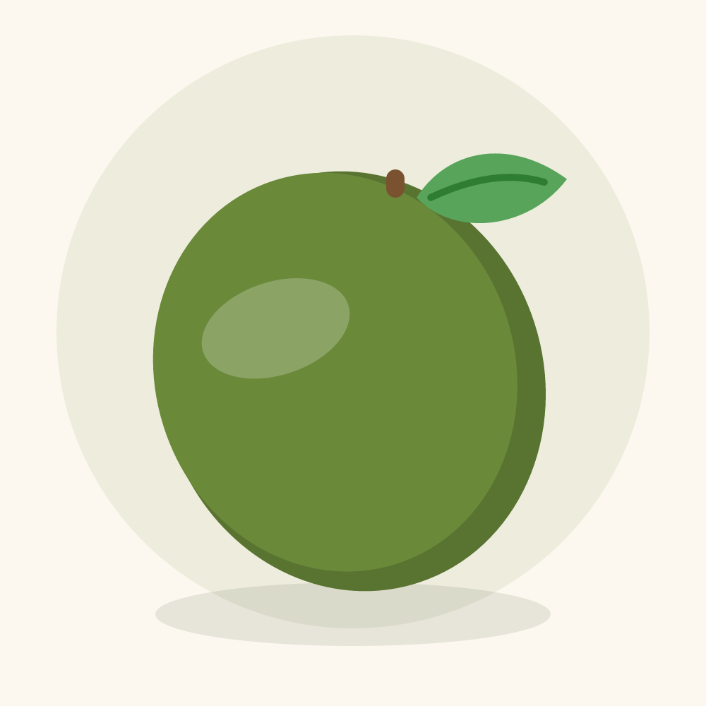 African breadfruit illustration