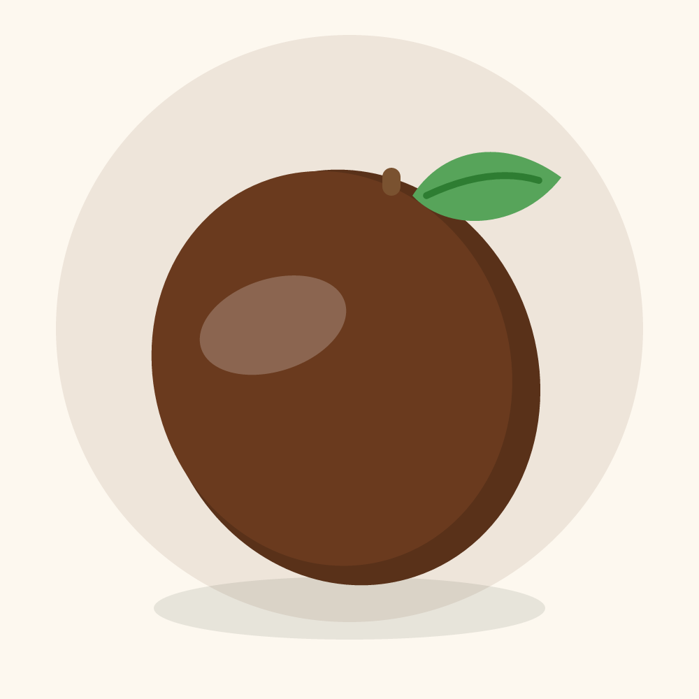 Cacao illustration