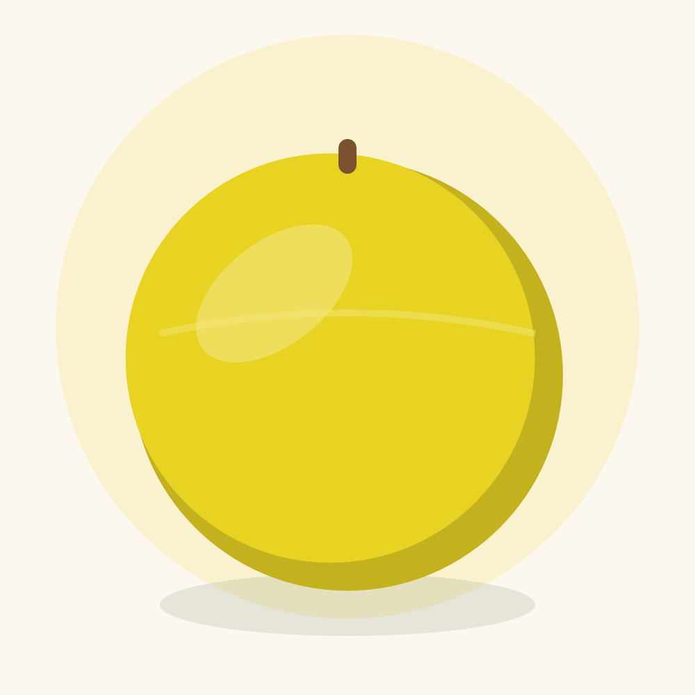 Canary melon illustration