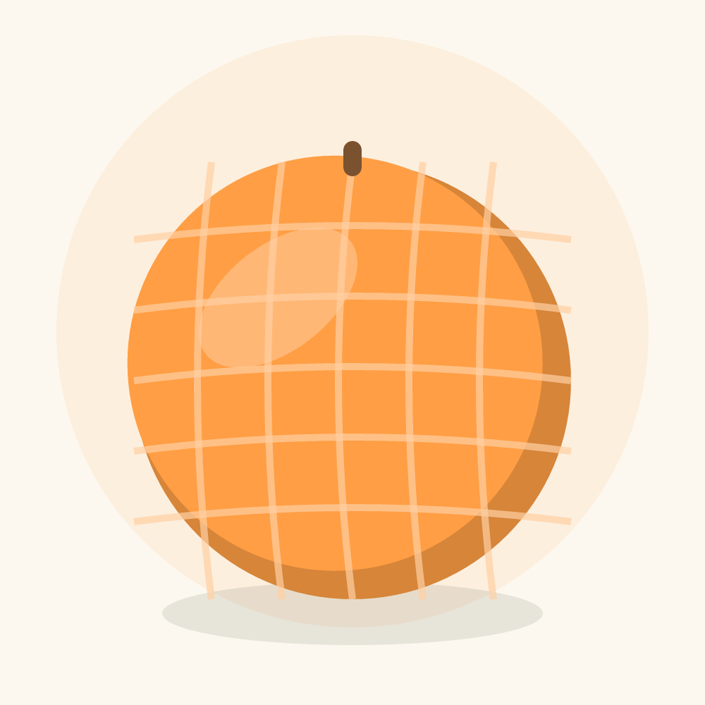 Cantaloupe illustration