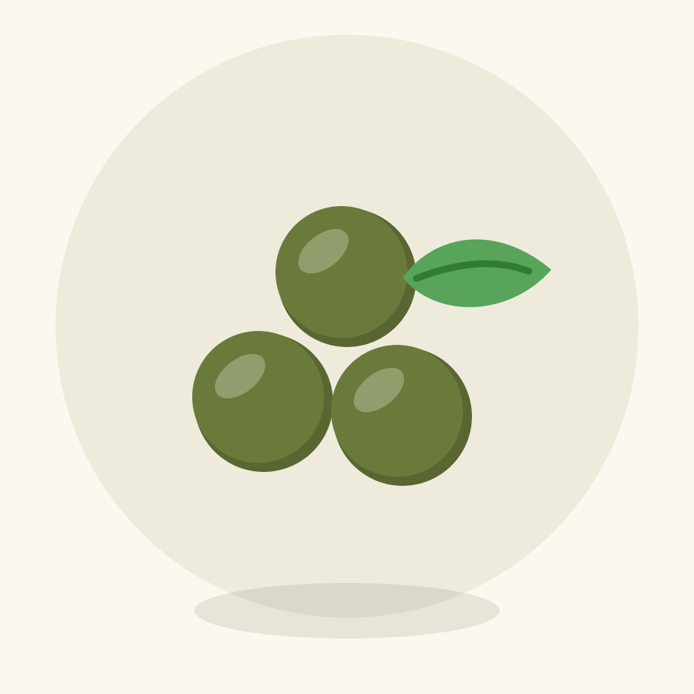Caper berry illustration