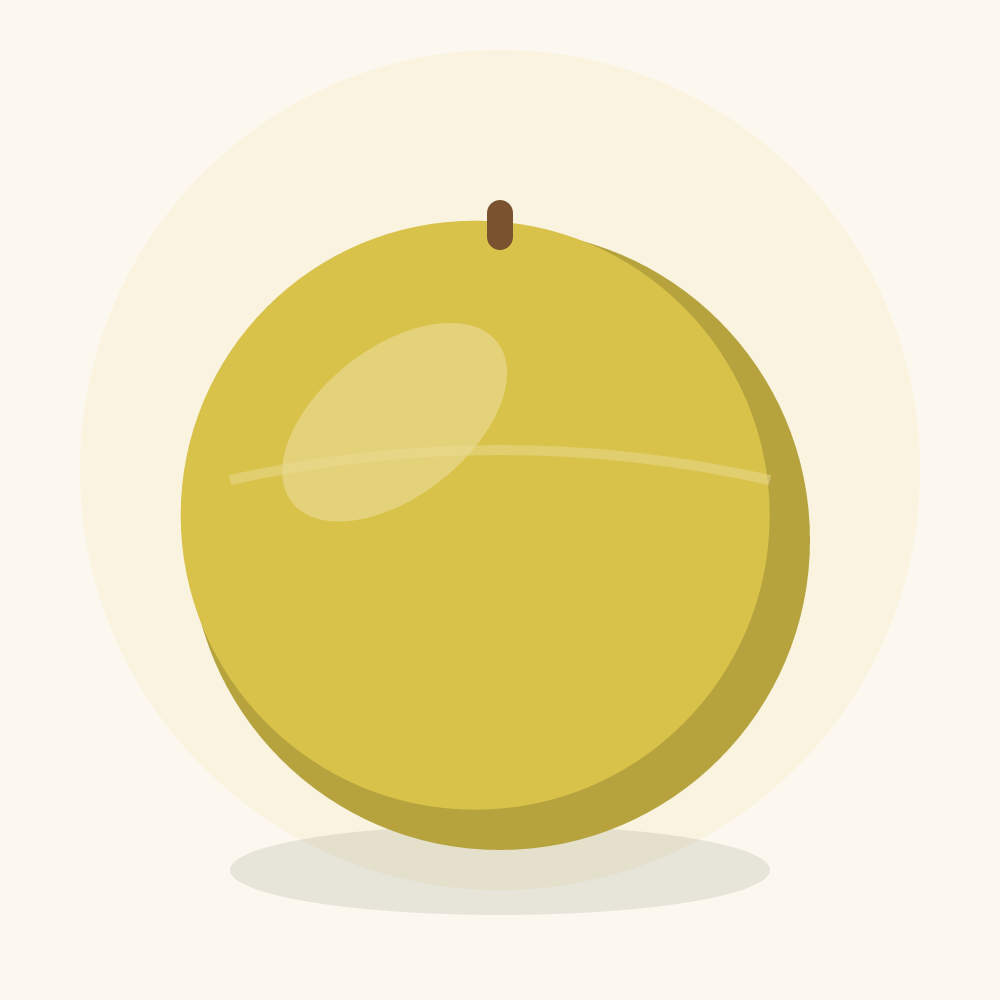 Casaba melon illustration