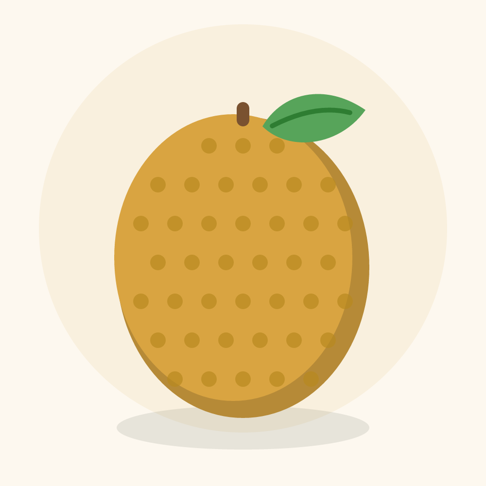 Cempedak illustration