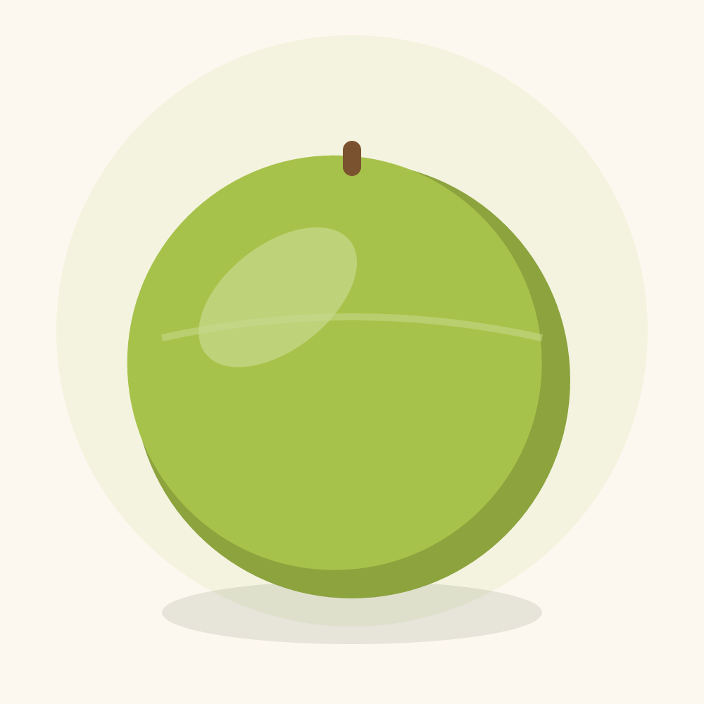 Chayote illustration