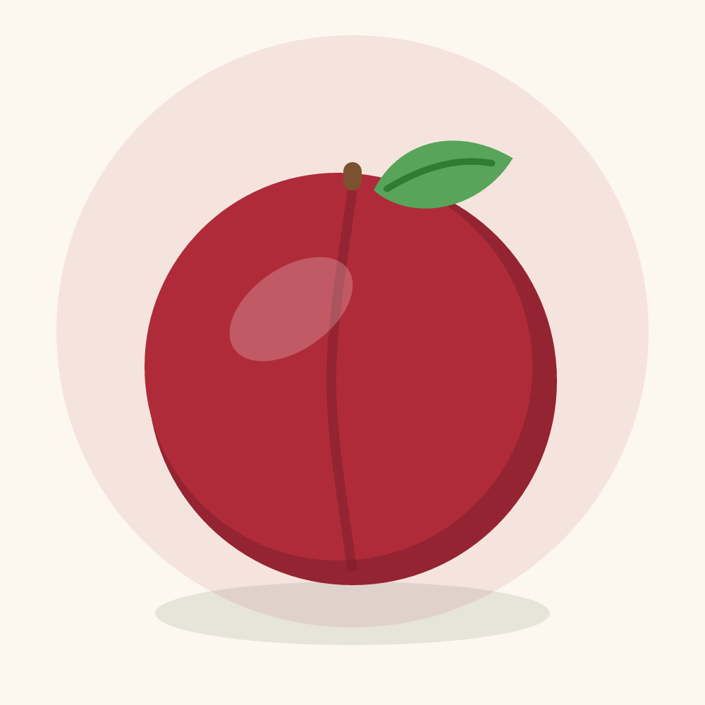 Cherry plum illustration