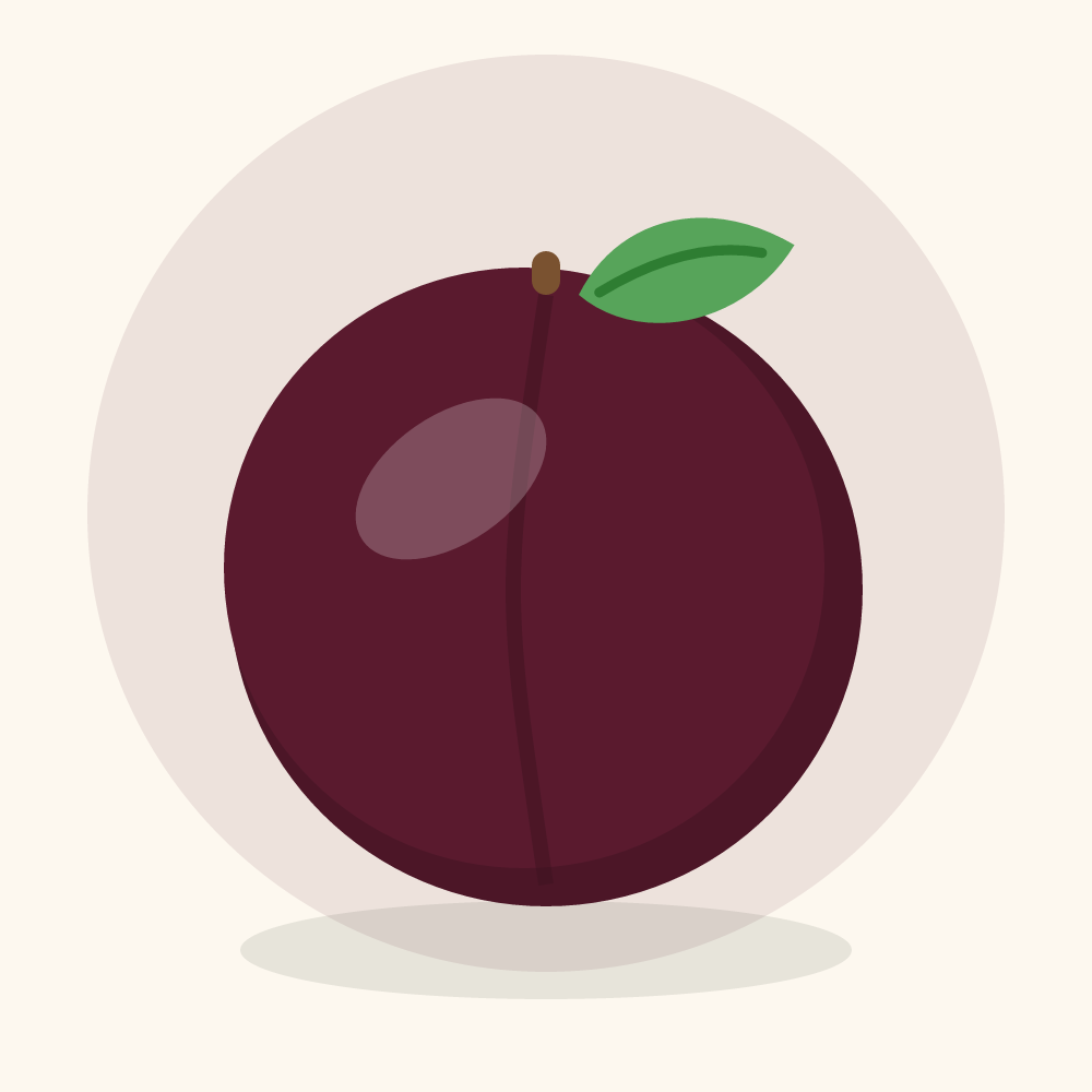 Chokecherry illustration