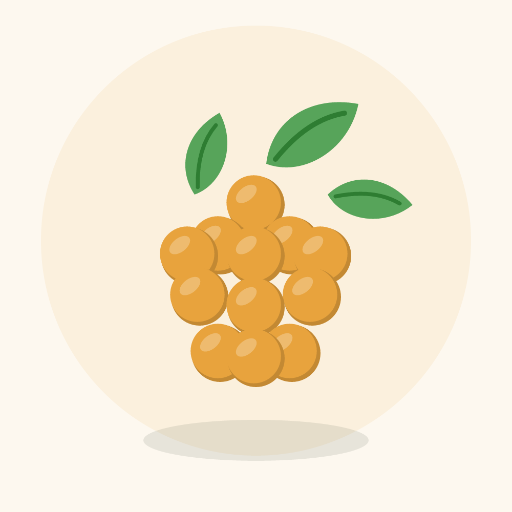 Cloudberry illustration
