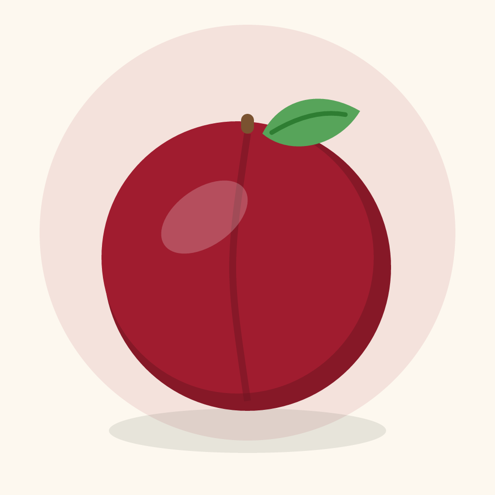 Cornelian cherry illustration