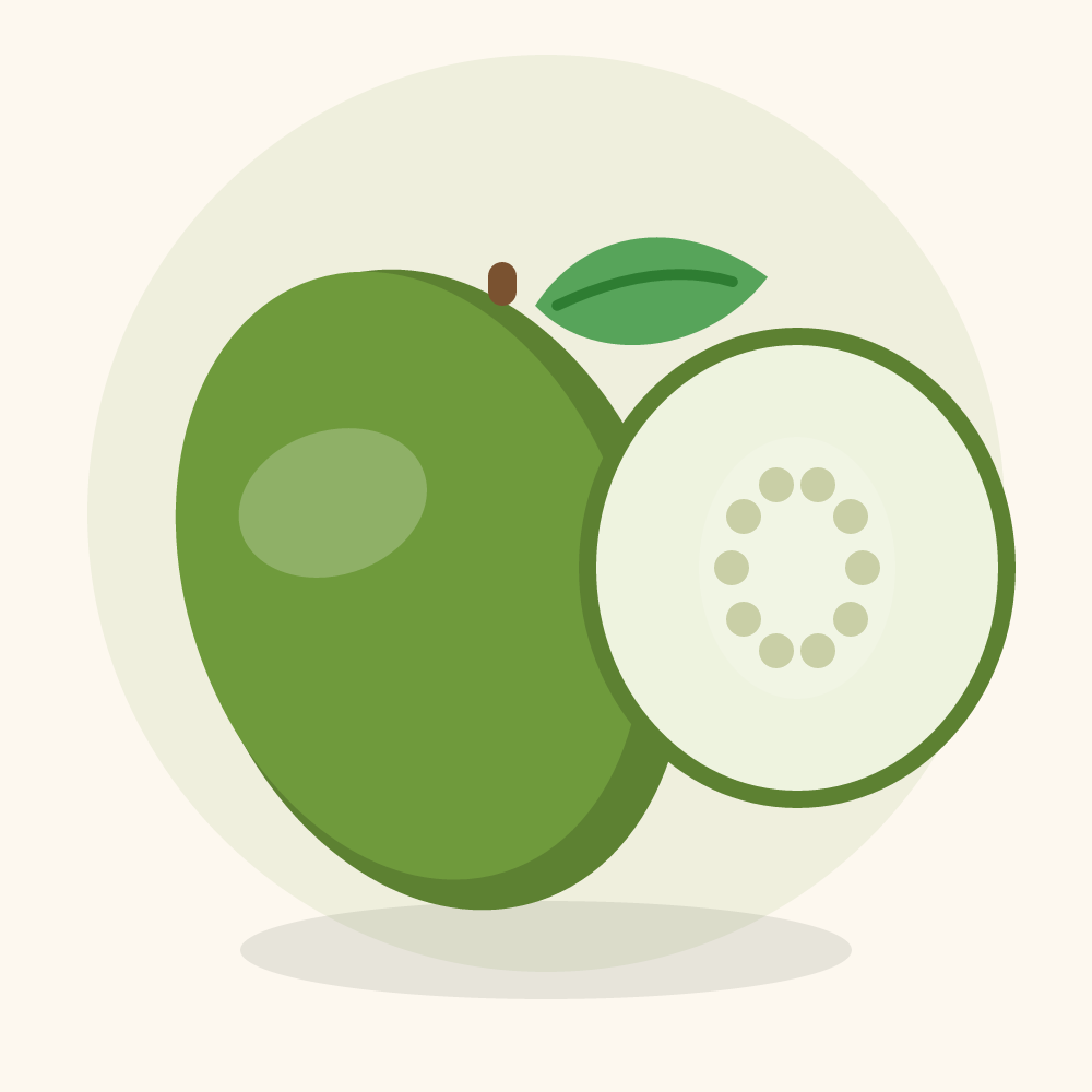 Cucamelon illustration