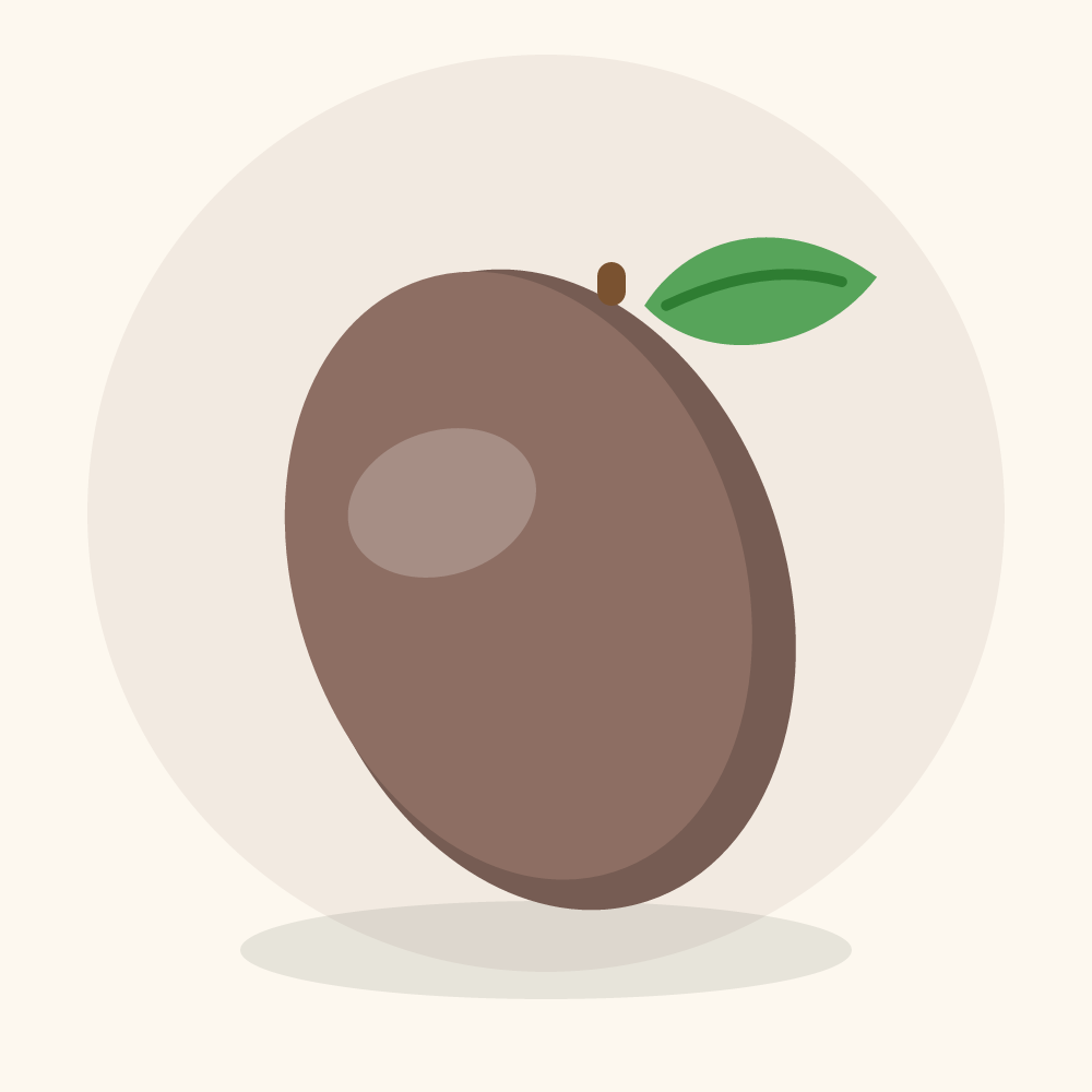 Cupuacu illustration