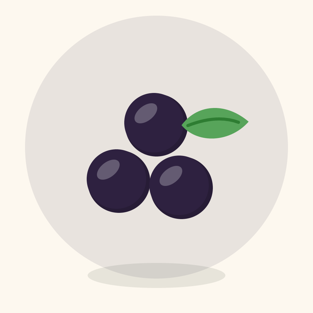 Dewberry illustration