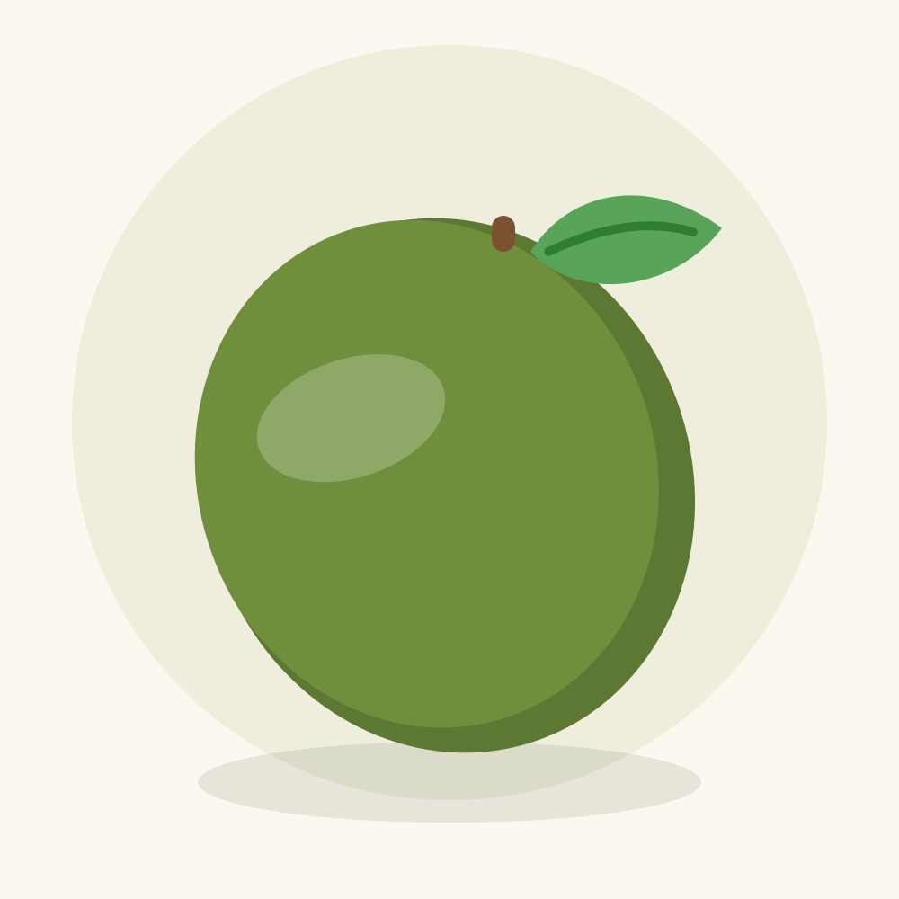 Elephant apple illustration