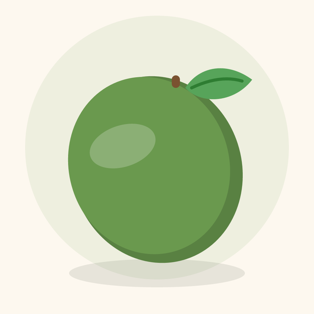 Feijoa illustration