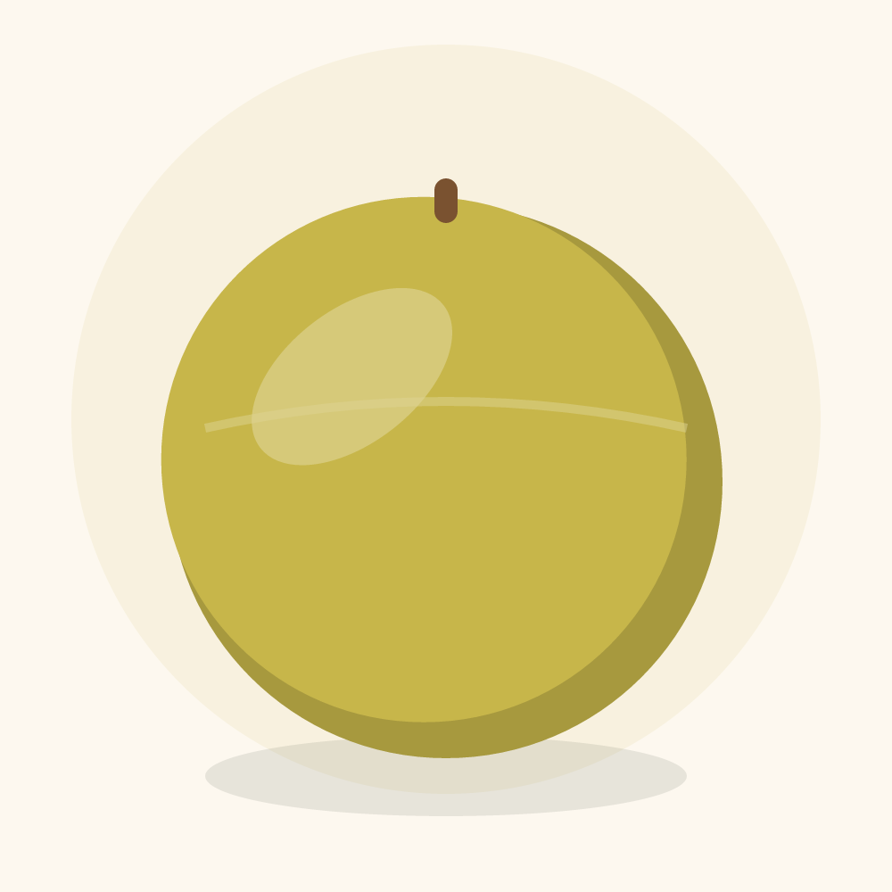Galia melon illustration