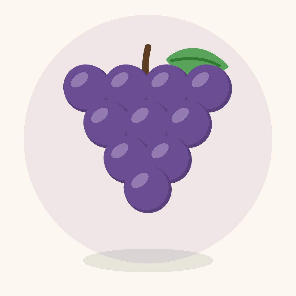 Grape illustration