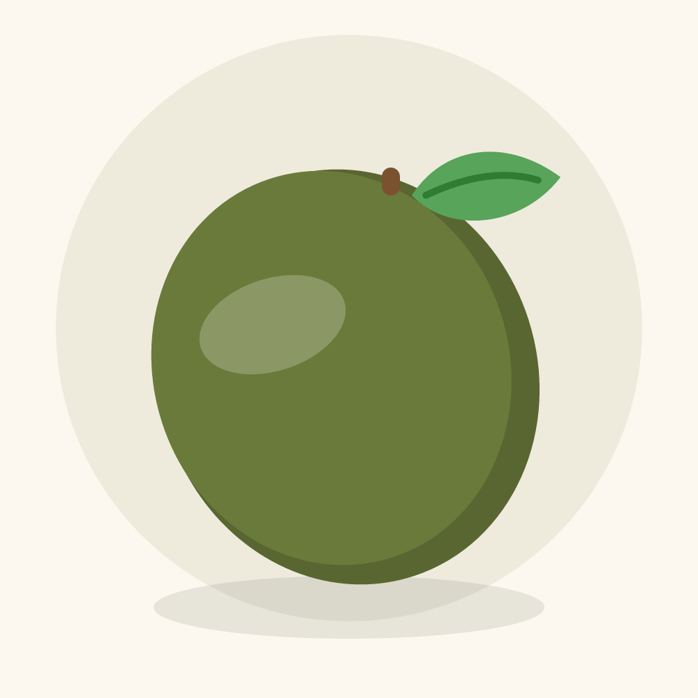 Green sapote illustration