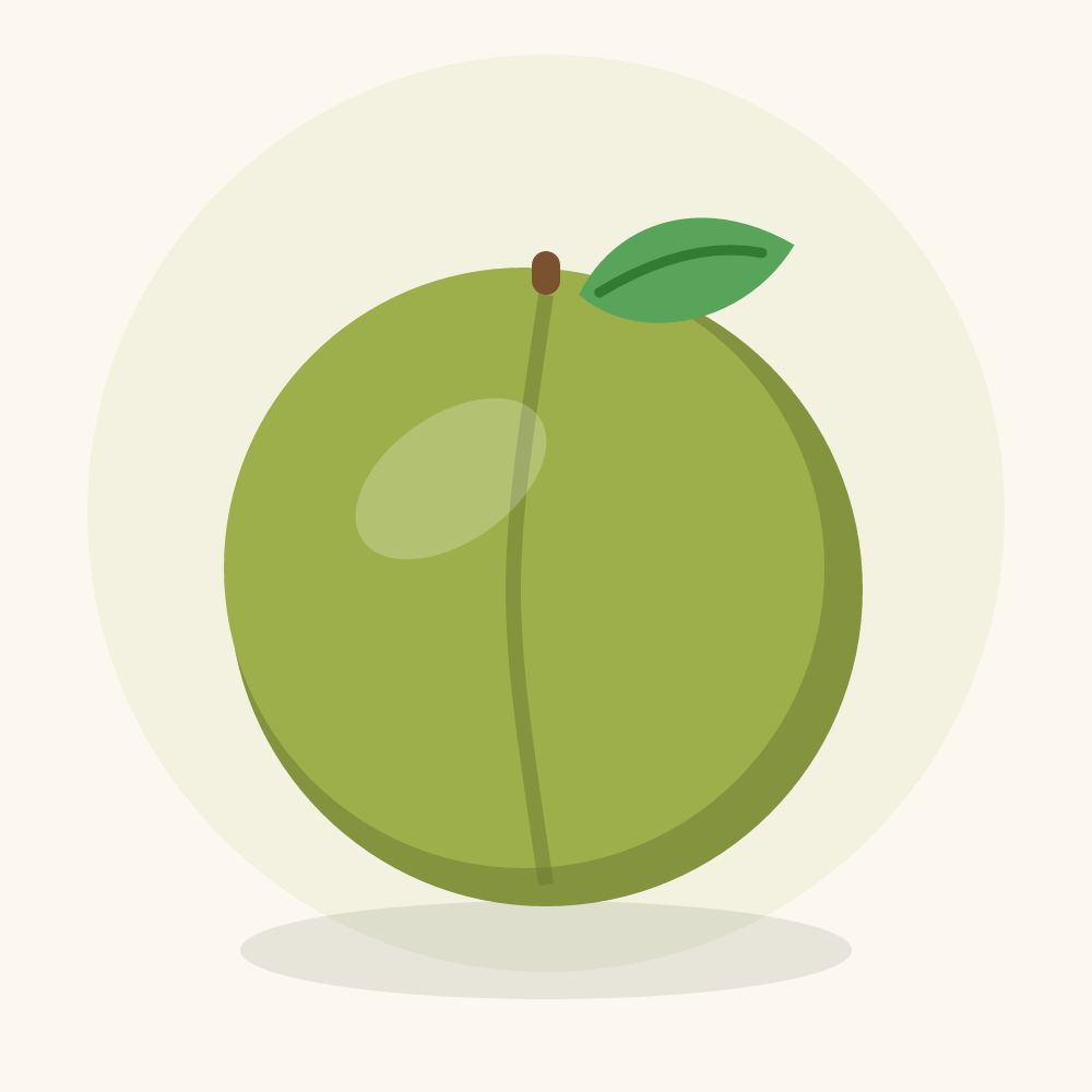 Greengage illustration