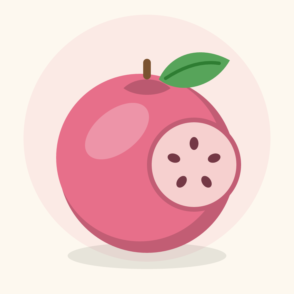 Guava illustration