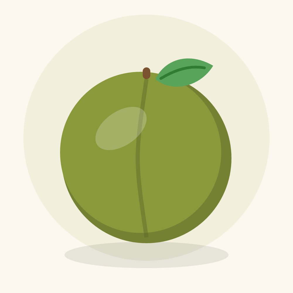 Kakadu plum illustration