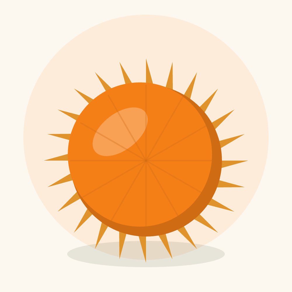 Kiwano illustration