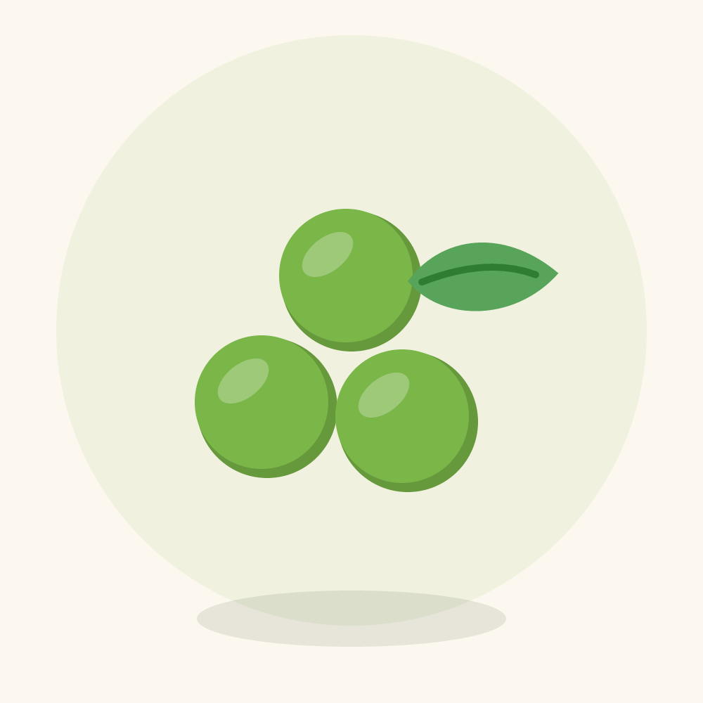 Kiwiberry illustration