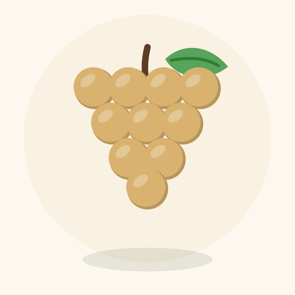 Lanzones illustration