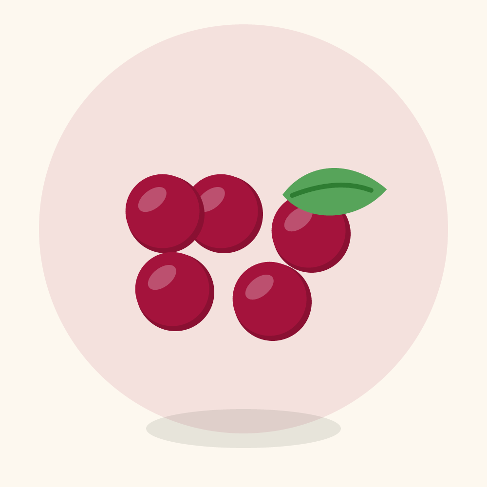 Lingonberry illustration