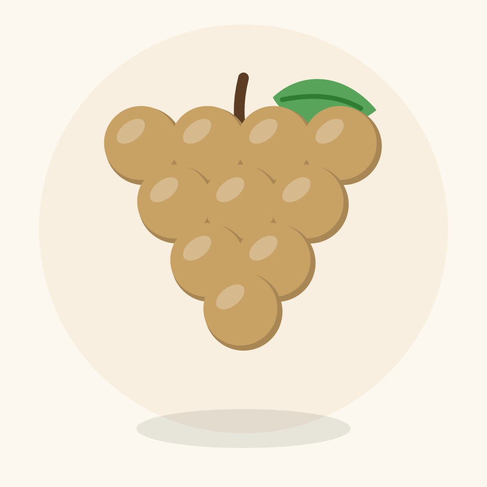 Longan illustration