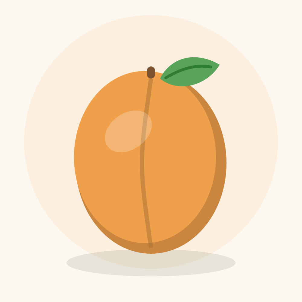 Loquat illustration
