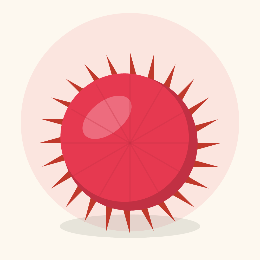 Lychee illustration