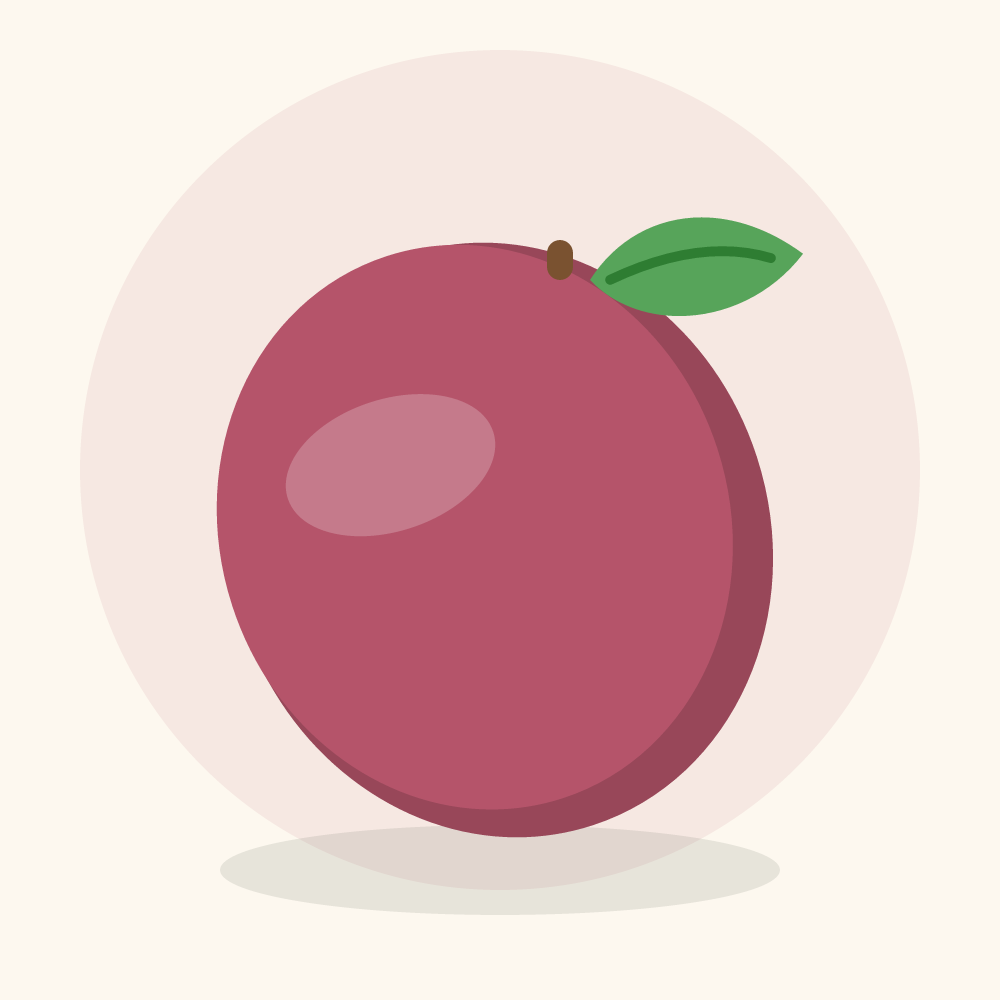 Mabolo illustration